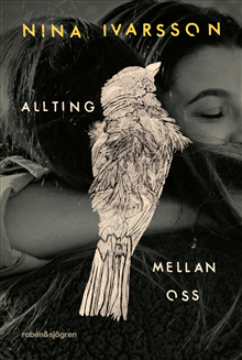 Allting mellan oss