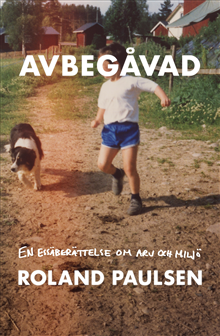 Avbegåvad 