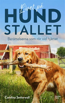 Livet på Hundstallet 