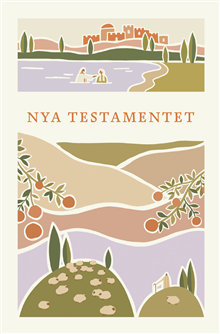 Nya testamentet 2026 med introsidor