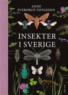 Insekter i Sverige
