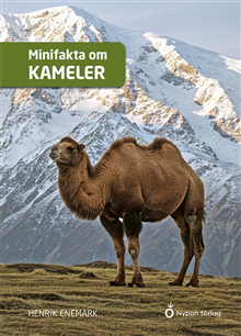 Minifakta om kameler