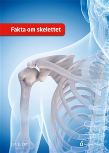 Fakta om skelettet