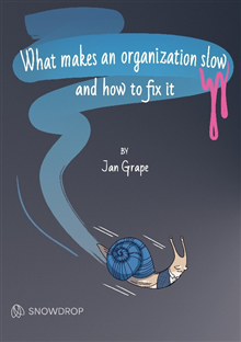 What makes an organization slow and how to fix it