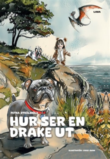 Hur ser en drake ut