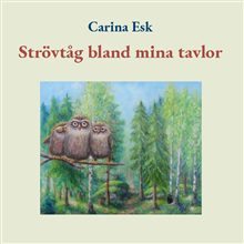 Strövtåg bland mina tavlor