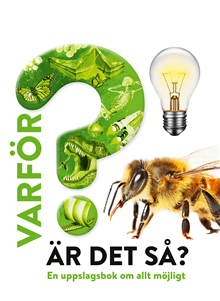 Varför är det så? 