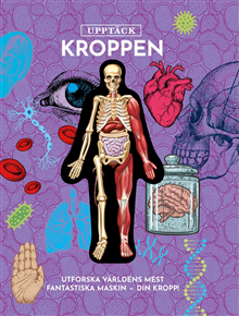 Upptäck kroppen 