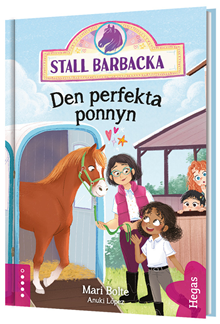 Den perfekta ponnyn