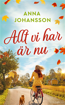 Allt vi har är nu