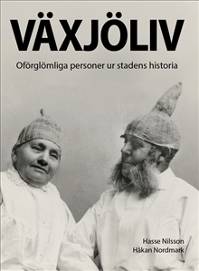 Växjöliv 