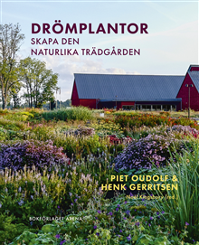 Drömplantor