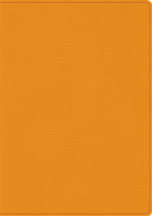 Skrivbok A5 PU linjerad orange