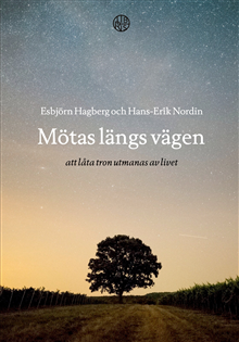 Mötas längs vägen - att låta tron utmanas av livet