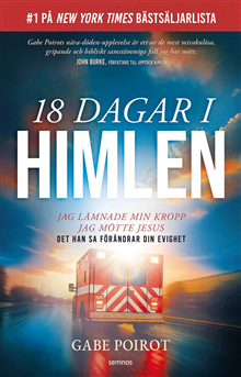 18 dagar i himlen