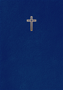 Svenska Folkbibeln 2015 (slimline, blå läder)