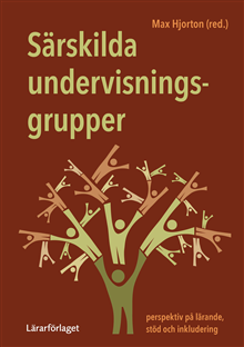 Särskilda undervisningsgrupper 