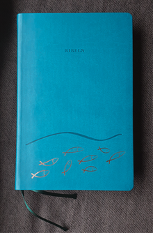 Bibel 2000 - läsutgåvan